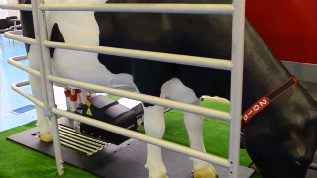 Обзор сельскохозяйственной выставки Agritec Astana 2015 (Zlak.info) смотреть онлайн