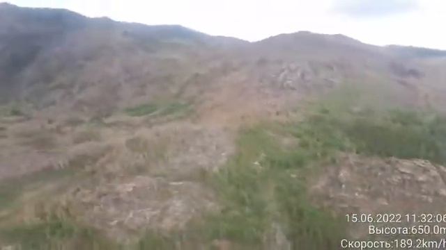 Гусеницы шелкопряда объели полсотни гектаров деревьев в Баянаульском заповеднике смотреть онлайн