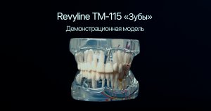 Revyline ТМ-115 «Зубы»