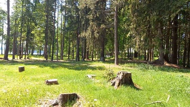 Озеро Валдай на противоположной стороне Иверского монастыря