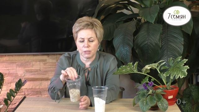 ПОЛЕЗНЫЕ СВОЙСТВА ВЕРМИКУЛИТА И ПЕРЛИТА! В ЧЕМ ИХ ОТЛИЧИЕ? смотреть онлайн