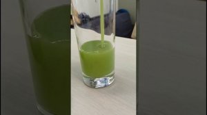 Обзор соковыжималка  MAUNFELD MJE.850S.Не просто агрегат ,а сам процесс.