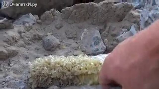 Спас воробья смотреть онлайн