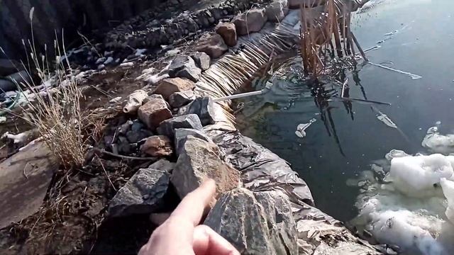 Декоративный Пруд (копанка) Что с ним стало