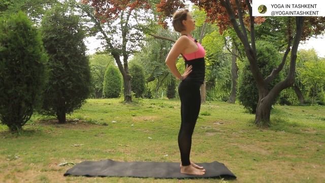 Практика для спины. Йога. Мильбергер Наталья смотреть онлайн