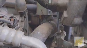 Nissan Navara Yd25 engine number location