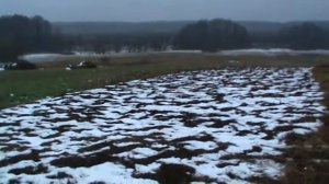 Какая мульча лучше.