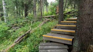 Весёлые горы. Висимский заповедник