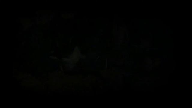 SHOW THIS TO YOUR GIRLFRIEND ! ;P (Theraphosa stirmi enjoying himself) смотреть онлайн