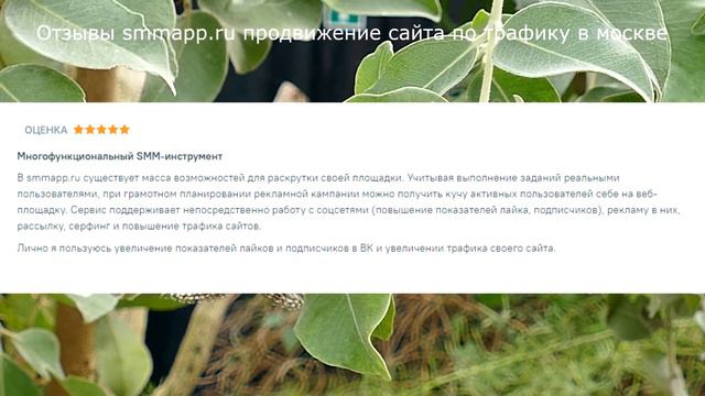 Отзывы smmapp.ru продвижение сайта по трафику в москве смотреть онлайн