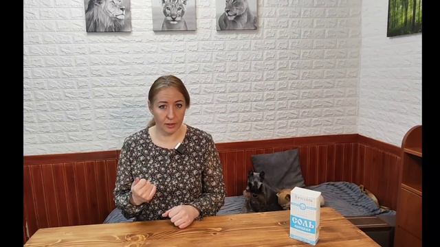 НУЖНО ЛИ СОЛИТЬ ЕДУ СОБАКАМ И КОШКАМ? смотреть онлайн