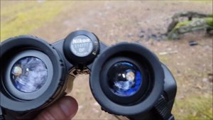 Бинокль Nikon Action EX 8x40 WP.Обзор.