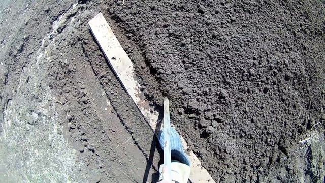 КАК ПОСАДИТЬ ПЕТРУШКУ? смотреть онлайн