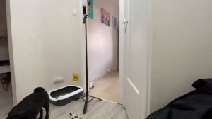 Наш Новый 2023 Год. Ракеты. Взрывы. Слезы. Обмен подарками.