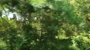 Отдых во Вьетнаме ! Вьетнам, пейзаж и быт ( + вьетнамский гид).