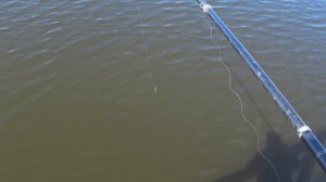 Вчера на Белоярке, Шершавый пошёл. 1000 подписчиков. 4К #чебак, #отшельник, #рыбалка, #IceHouse