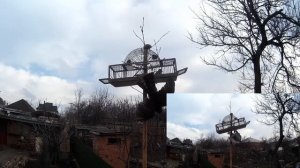 Ловля певчих птиц 2021, атака ястреба на певчих птиц. Жизнь в деревне.