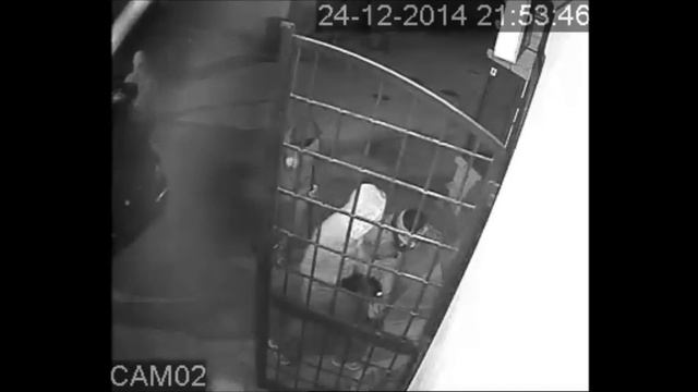 Furto In Diretta "Sessa Aurunca" смотреть онлайн