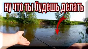 Опять СХОД... Юзурик(Yo-Zuri L-Minnow 44S) саботирует рыбалку. Ловля Голавля На Спиннинг. Рыбалка.