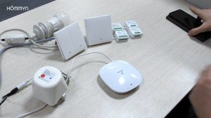 Выключатели, реле, манипулятор шарового крана Hommyn. Подключение к приложению Hommyn