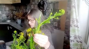 Гулявник от лат. Sisymbrium   #Гулявник    #Sisymbrium #Brassicaceae #травянистые растения #дикорос