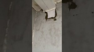 раздельная вентиляция в ванной и сан узле