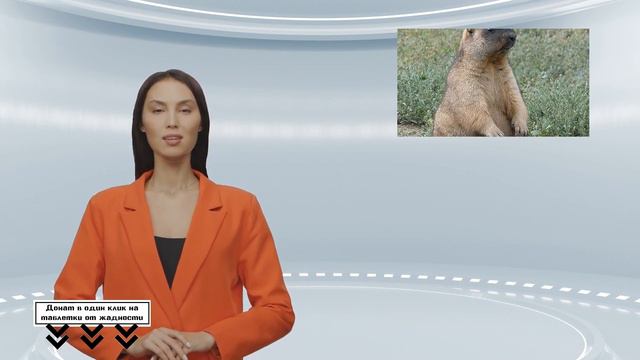 Волгоградская область пересчитала сусликов с сурками перед сезоном охоты смотреть онлайн