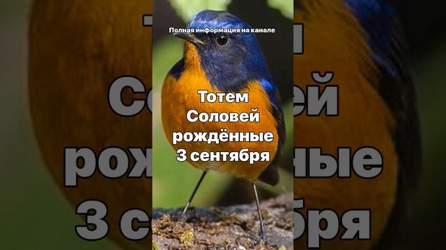 Тотем Соловей рождённые 3 сентября Остальные тотемы можно найти в плейлистах на канале