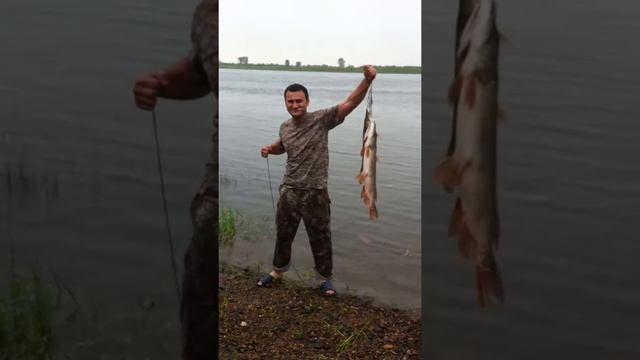 28 06 2014   РЫБАЛКА В деревни АЛАЕВО