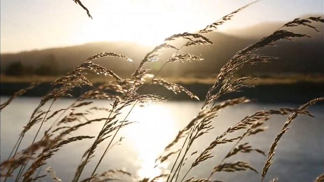 КРУТОСТЬ НАИВЫСШЕГО УРОВНЯ