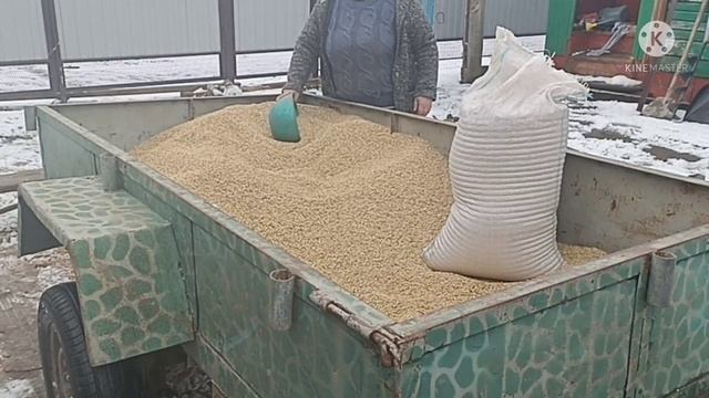  смотреть онлайн