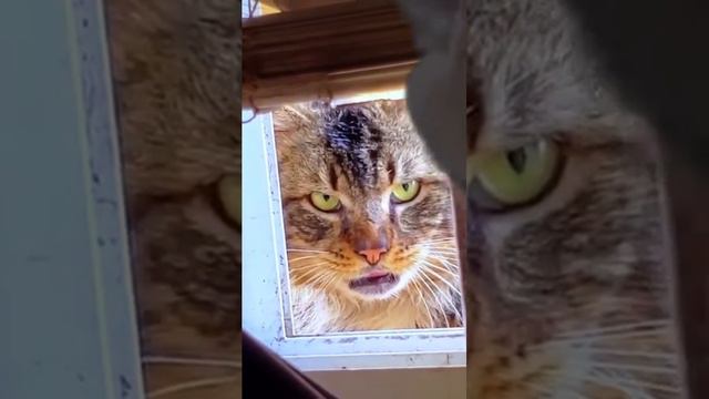 Твоя училка в первый день учебы 😂 смотреть онлайн