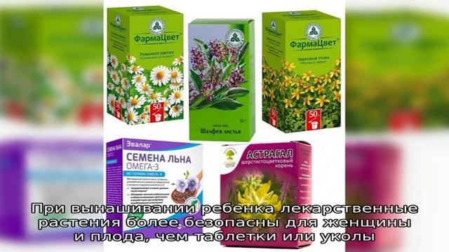 Мочегонные травы для почек смотреть онлайн