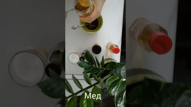 Чечевица вкуснее мяса. Простой изысканный рецепт смотреть онлайн