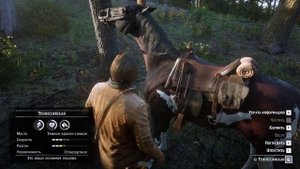 50 особенностей Red Dead Redemption 2. Физика, взаимодействия и действия в игре!