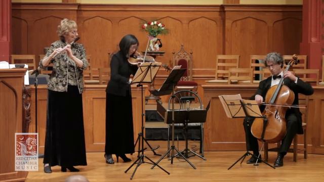 Haydn: London Trio No. 1 / Andante _ for flute, violin and cello смотреть онлайн