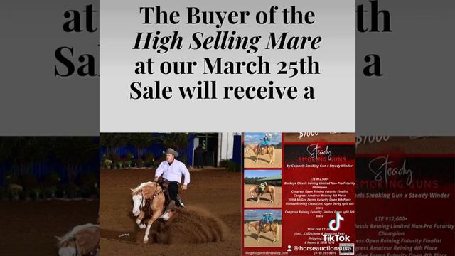 How about a breeding to Steady Smoking Guns??? смотреть онлайн