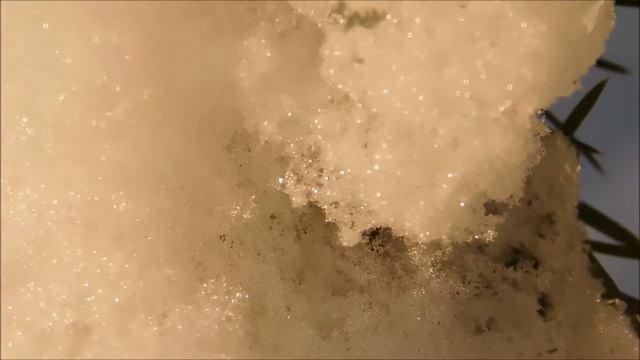 a walk NIKON COOLPIX L840 смотреть онлайн