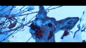 Елена Ваенга — Тайга