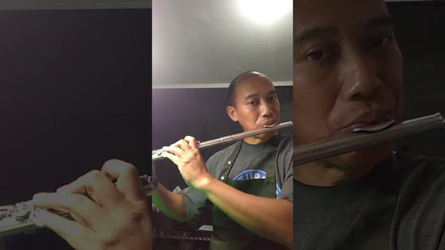 test play Flute Yamaha - YFL 614 and YFL 884 . close hole & open hole смотреть онлайн