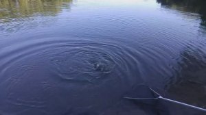 РЫБАЛКА ЛУЧШИЕ МОМЕНТЫ НАРЕЗКА