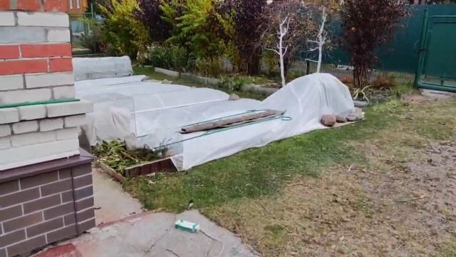 Растениям нужна защита от снега. Мама рассказывает как укрыть на зиму розы, сирень и клубнику смотреть онлайн