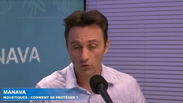 Manava - Moustiques : comment lutter ? смотреть онлайн