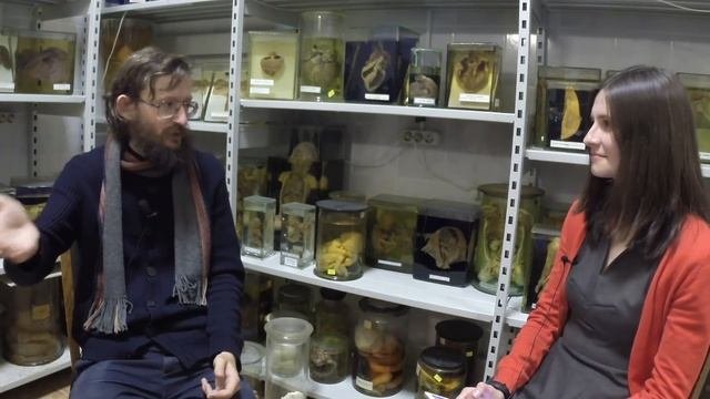 Станислав Дробышевский - Антропология и нерадивые студенты (интервью)
