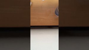Slim (norsk)