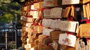 ХРАМ ТЫСЯЧИ КОШЕК: месторождение Манеки Неко (кот удачи),значение кошек в Японии, экскурсия по Токи