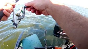 Лещ с Лодки | Шоколадная прикормка на Леща