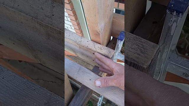 Строительные леса, просто и быстро на минимальных площадях