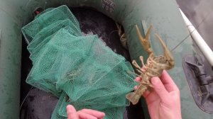 НУ И ЗВЕРЮГИ ЗАПОЛЗЛИ В РАКОЛОВКУ.РЫБАЛКА НА РАКОВ ОСЕНЬЮ.