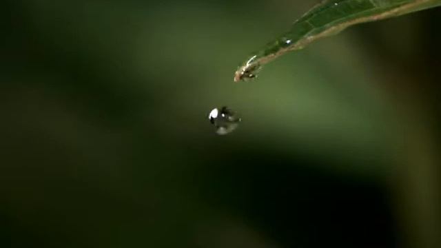 Берегите природу смотреть онлайн